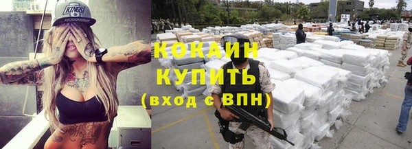 дживик Абаза