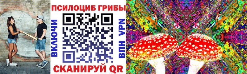 наркота  omg зеркало  Галлюциногенные грибы MAGIC MUSHROOMS  Комсомольск-на-Амуре 